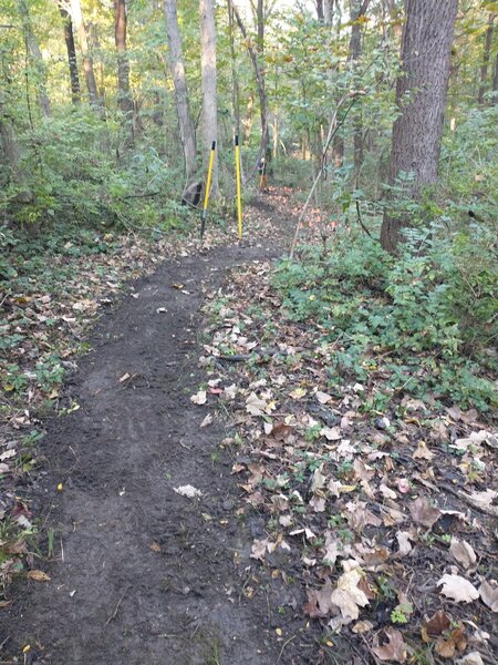 Trail maintainers are consistently work to improve sustainability and flow.