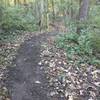 Trail maintainers are consistently work to improve sustainability and flow.