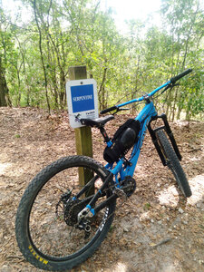 Serpentine start!!