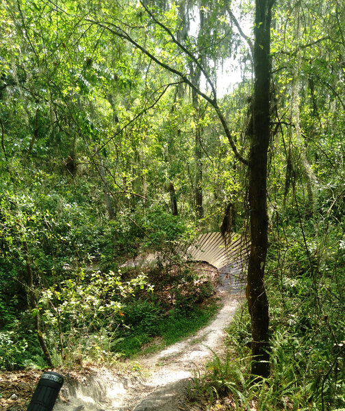 Gnarly loop, nice berm!