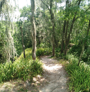 Couple miles of this!!