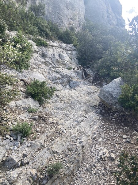 The fire look-out hike-a-bike trail has a lot of sections like this.