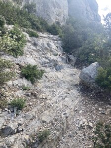 The fire look-out hike-a-bike trail has a lot of sections like this.