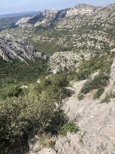 Les Opies fire look-out trail is a hike-a-bike and has great views.