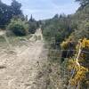 In the spring, there may be temporary sheep fences blocking the road. Put them back when you pass, and watch out for those big white dogs!