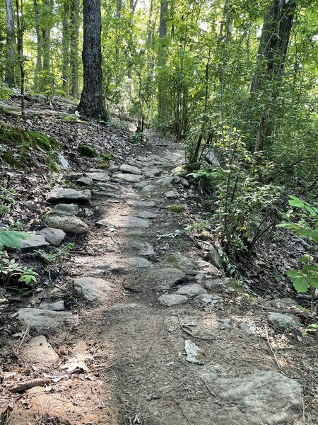 Hand built gully crossing rock garden.