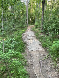 One of several rock slabs