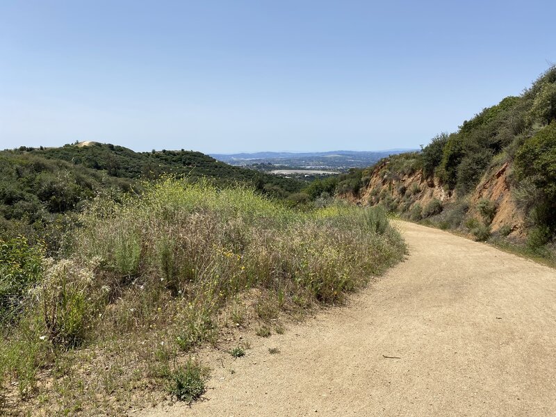 Overlooking Johnson trail entry