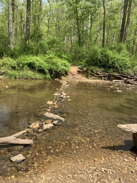 Crossing on Cabin John Creek