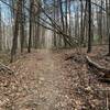 The top of the first climb when riding the Queen Anne trail counter clockwise.