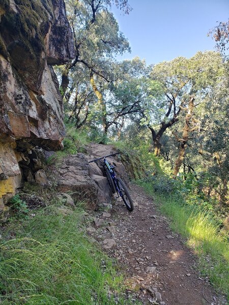 Small crag to climb over.