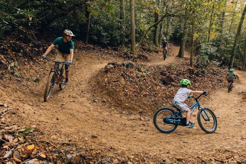 Descending Gomers Loop through the rhododendron and laurel forest: photo credit Robert King Photography