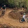 Descending Gomers Loop through the rhododendron and laurel forest: photo credit Robert King Photography