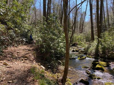 Wolf Creek Trial