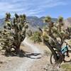 About 1/2 mile from the end of the trail.