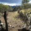 Fence Line.