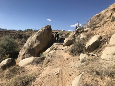 Bonsai squeeze rock.