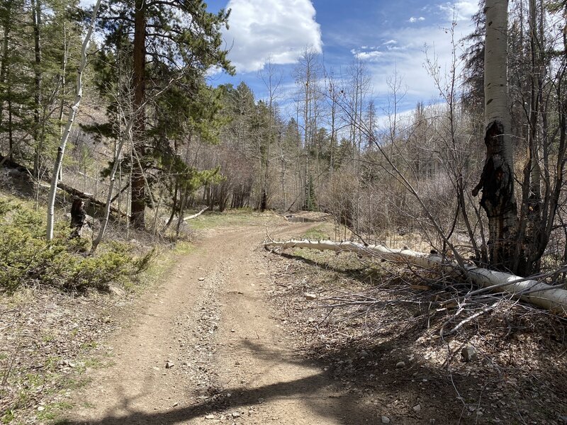 Somewhere near halfway, perhaps a bit lower, really nice scenery 5/7/22.