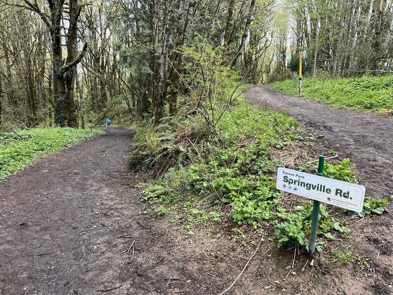 Downhill from Skyline Blvd. to US30.