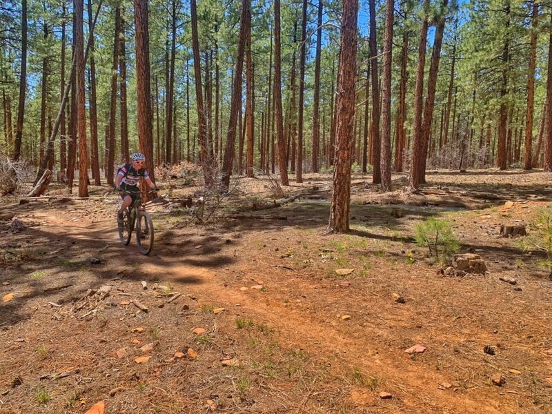 Typical smooth singletrack.