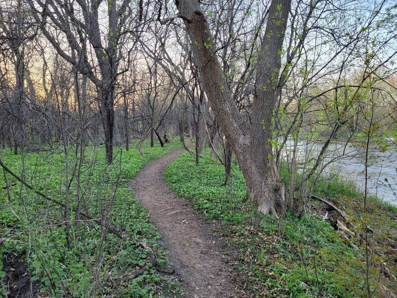 Facing north along the Milwaukee River.