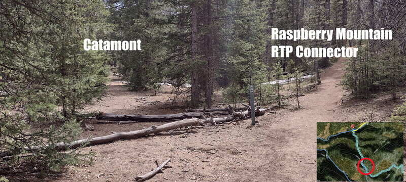 The south entrance to this trail is easy to miss. This photo is facing roughly SE.  The Ring the Peak trail signs want you to go to the right, but to get on this trail you need to go left over the logs.