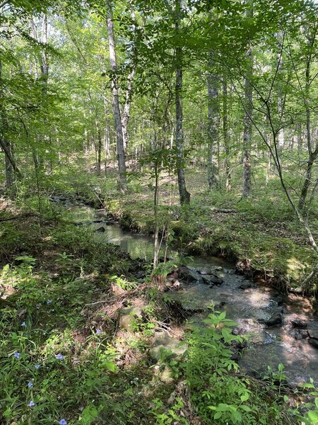 First Creek Crossing Where you can decide to ride clockwise or counterclockwise.