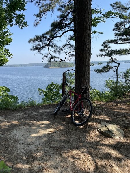 Overlook of the Lake.