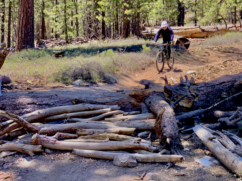 Upper third of McGill trail features several crude log crossings which are generally rollable but due to the very loose stacking of materials on the blind downhill side should be approached with caution.