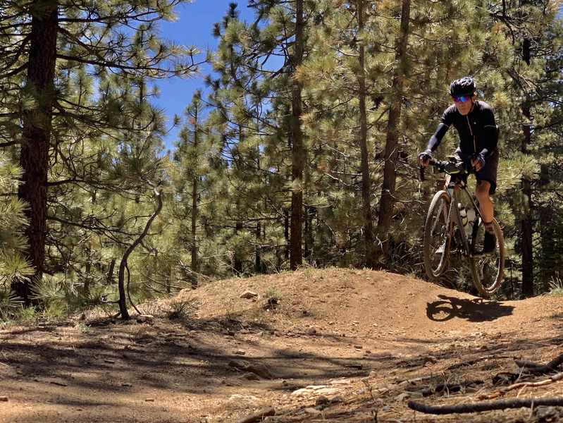 Middle third of the McGill singletrack. Dozens of small, smooth kickers like this one, most with plenty of clean landing zones, makes McGill a great place to get a little air.