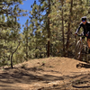 Middle third of the McGill singletrack. Dozens of small, smooth kickers like this one, most with plenty of clean landing zones, makes McGill a great place to get a little air.