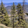 Lower third of McGill Trail has stunning vistas to the North. The singletrack is skinny and the most exciting of the three sections ~ a few tight switchbacks, some nicely bermed corners, and traverses across steep hillsides.