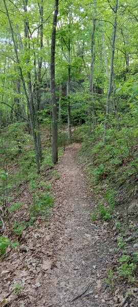 A short .2 mile trail that stops by Ship Rock.