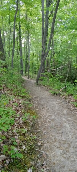 Singletrack after uphill past Ship Rock.