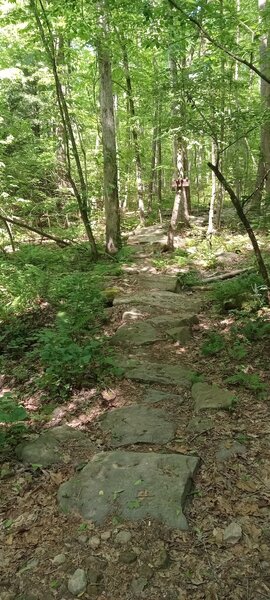 Start of Hellbender Rock Garden.