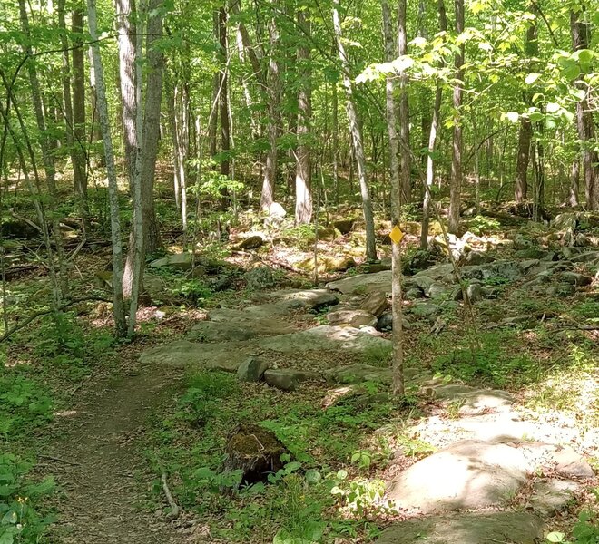 Start of Serpentine rock garden.