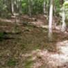 Singletrack on Toppers Ridge.