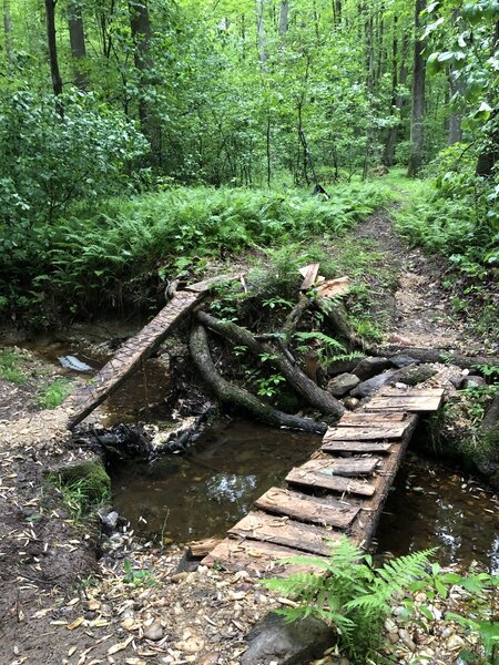 View of a feature along the trail, towards Whitaker woods.