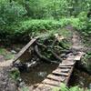 View of a feature along the trail, towards Whitaker woods.