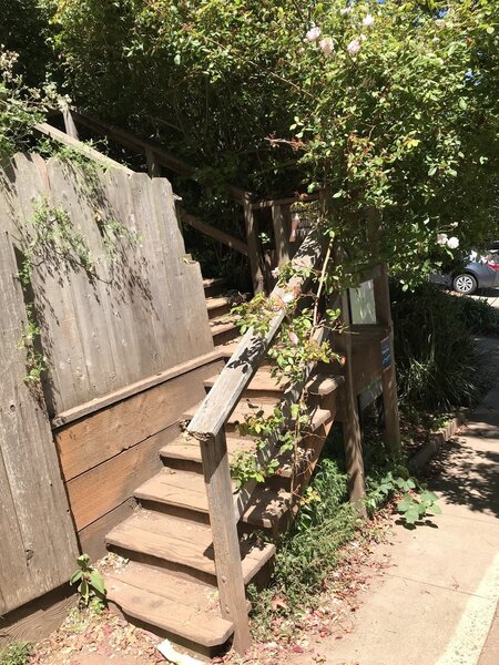 Mt Sutro Trails - Entry from Stanyan & 17th