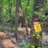 Intersection of the Ravine Trail and the Quarantine Trail.