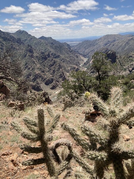 Looking down the Gorge from Far Out- lots of great views.