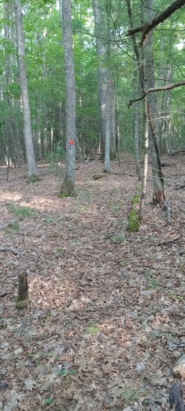 Top of a ascend on the Crooked Rock Trail.