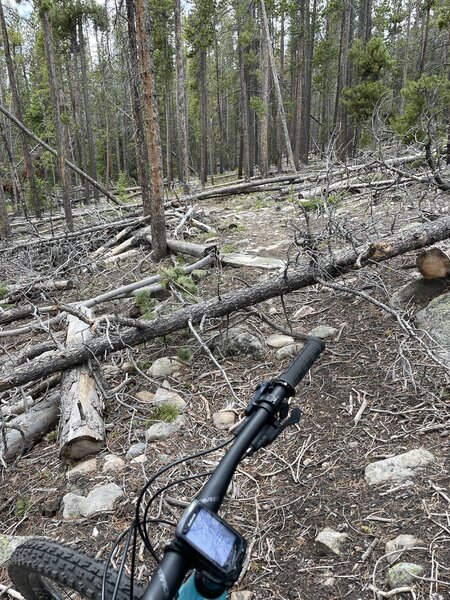 Felled trees as far as the eye can see. Not rideable as of 6/22.