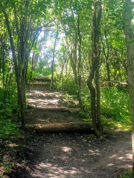 "Jump Stairs to Skinny Bridges!"