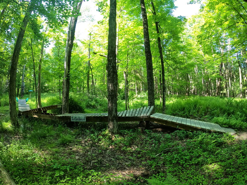 TurtleHead - A wooden feature with two rollers, a teeter-totter, and a banked lip.