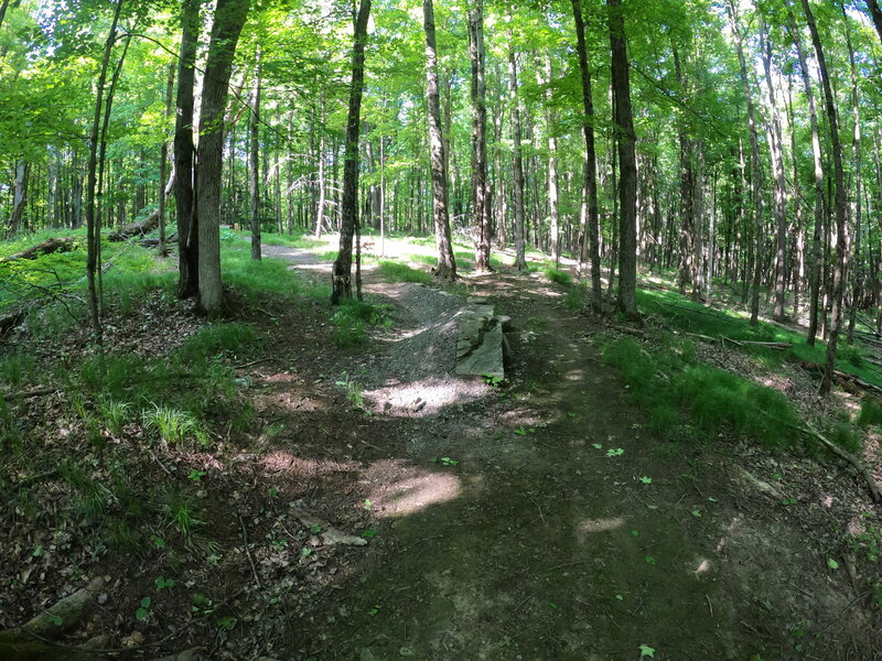 The berm after the Hourglass gap on Poison Ivy.