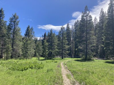 Just past the main meadow.