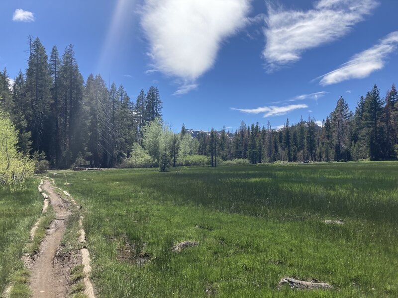 Trail along the edge of Page Meadows