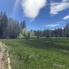 Trail along the edge of Page Meadows